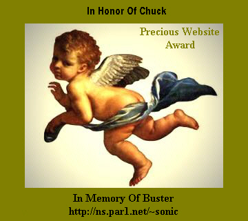 Award for Chuck, Our Sunshine