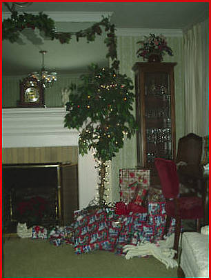 Living Room - Gifts Under Our "Flower Pot" Tree